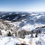 Vista